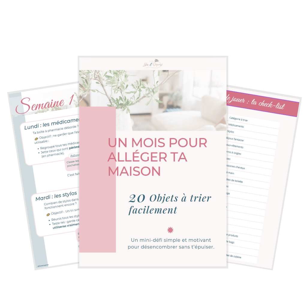 Guide 1 mois pour alleger ta maison sans prise de tete